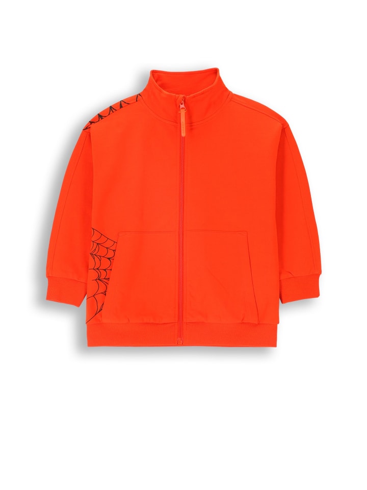 Толстовка Coccodrillo, красный
Толстовка Coccodrillo, красный