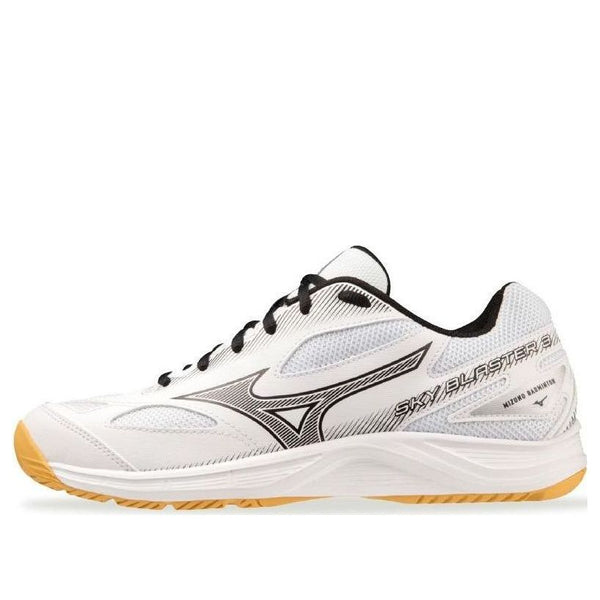 Кроссовки sky blaster 3 'white' Mizuno, белый
Кроссовки sky blaster 3 'white' Mizuno, белый