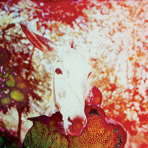 Виниловая пластинка Jerusalem in My Heart: If He Dies, If If If If If If
Виниловая пластинка Jerusalem in My Heart: If He Dies, If If If If If If