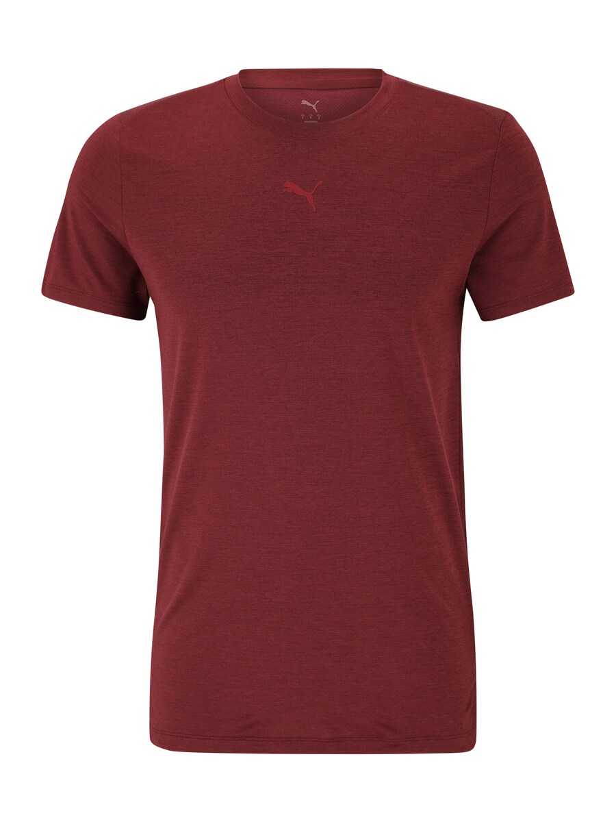 Футболка Performance PUMA CLOUDSPUN, Bordeaux
Футболка Performance PUMA CLOUDSPUN, Bordeaux