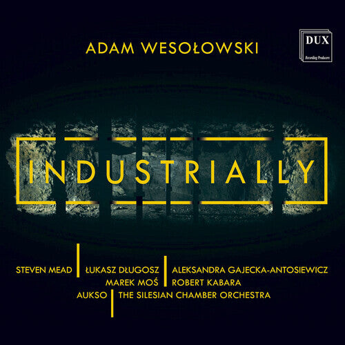 CD диск Wesolowski: Industrially
CD диск Wesolowski: Industrially