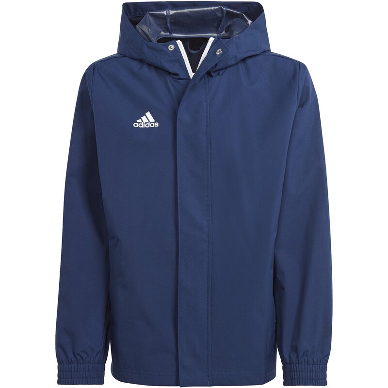 Jacket entrada 22 all-weather Adidas, цвет tenabl
Jacket entrada 22 all-weather Adidas, цвет tenabl