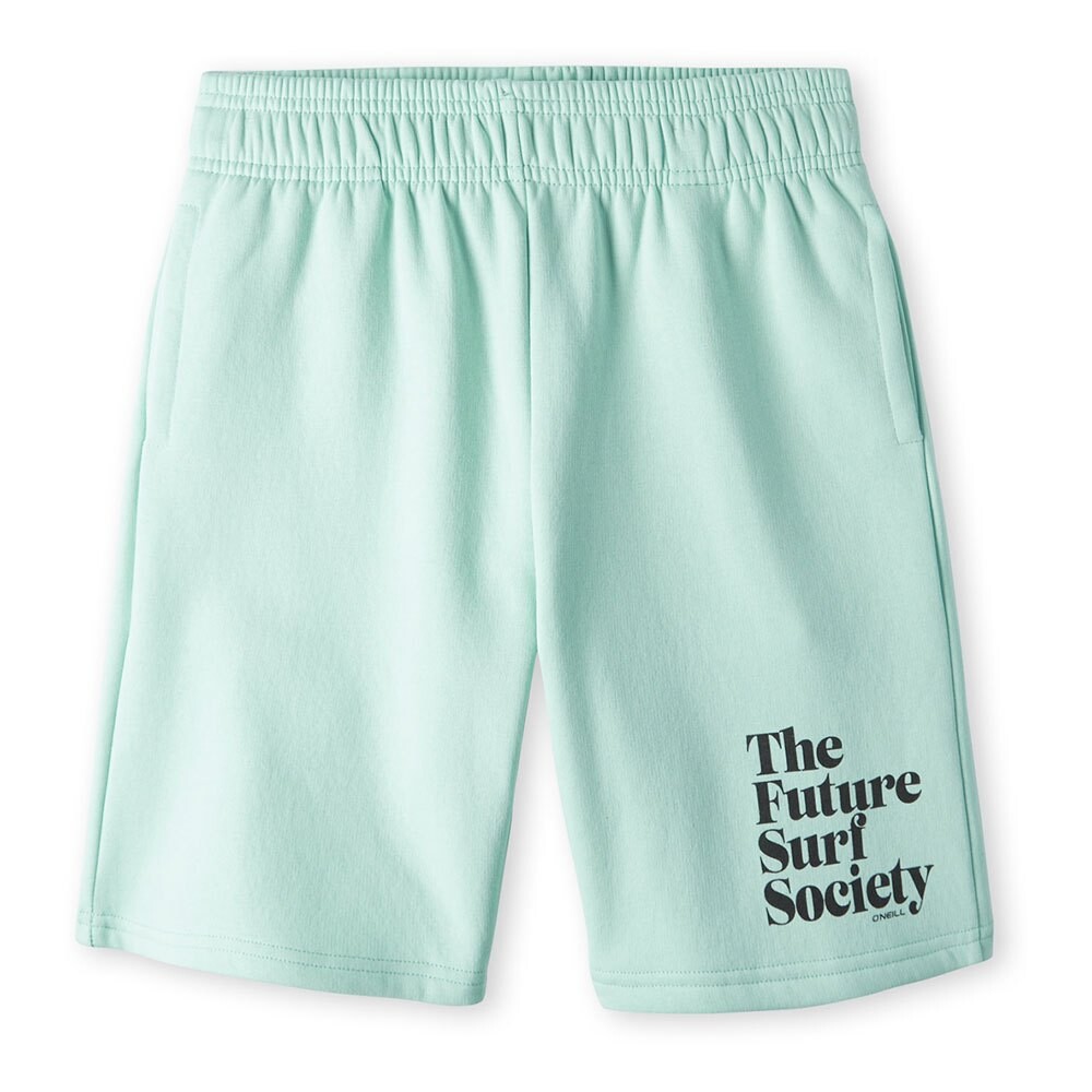 Шорты O´neill Future Surf, зеленый
Шорты O´neill Future Surf, зеленый