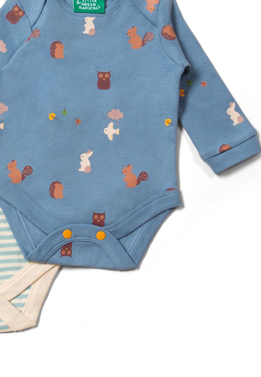 Боди 2 PACK Little Green Radicals, светло-голубой
Боди 2 PACK Little Green Radicals, светло-голубой