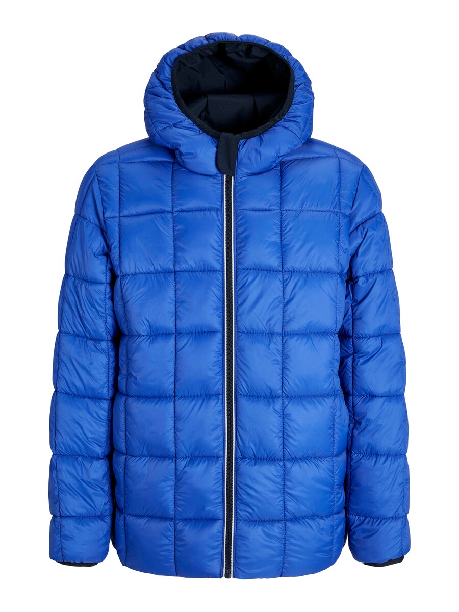 Зимняя куртка JACK & JONES JACK & JONES JJEBrook, Night blue/Royal blue
Зимняя куртка JACK & JONES JACK & JONES JJEBrook, Night blue/Royal blue