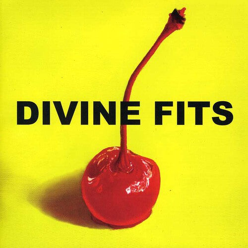 CD диск Divine Fits: A Thing Called Divine Fits
CD диск Divine Fits: A Thing Called Divine Fits