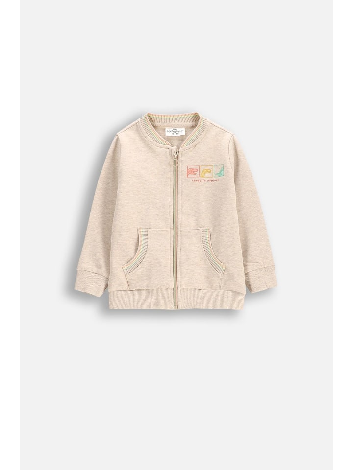 Толстовка на молнии серого цвета Coccodrillo
Толстовка на молнии серого цвета Coccodrillo