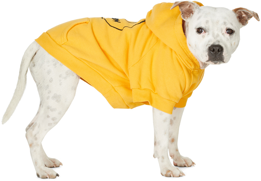 Эксклюзивная толстовка с капюшоном ENE с рисунком талисмана drew house, желтый
Эксклюзивная толстовка с капюшоном ENE с рисунком талисмана drew house, желтый