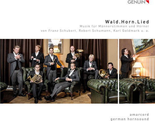 CD диск Goldmark, K. / Hornsound, German: Wald.horn.lied 
CD диск Goldmark, K. / Hornsound, German: Wald.horn.lied