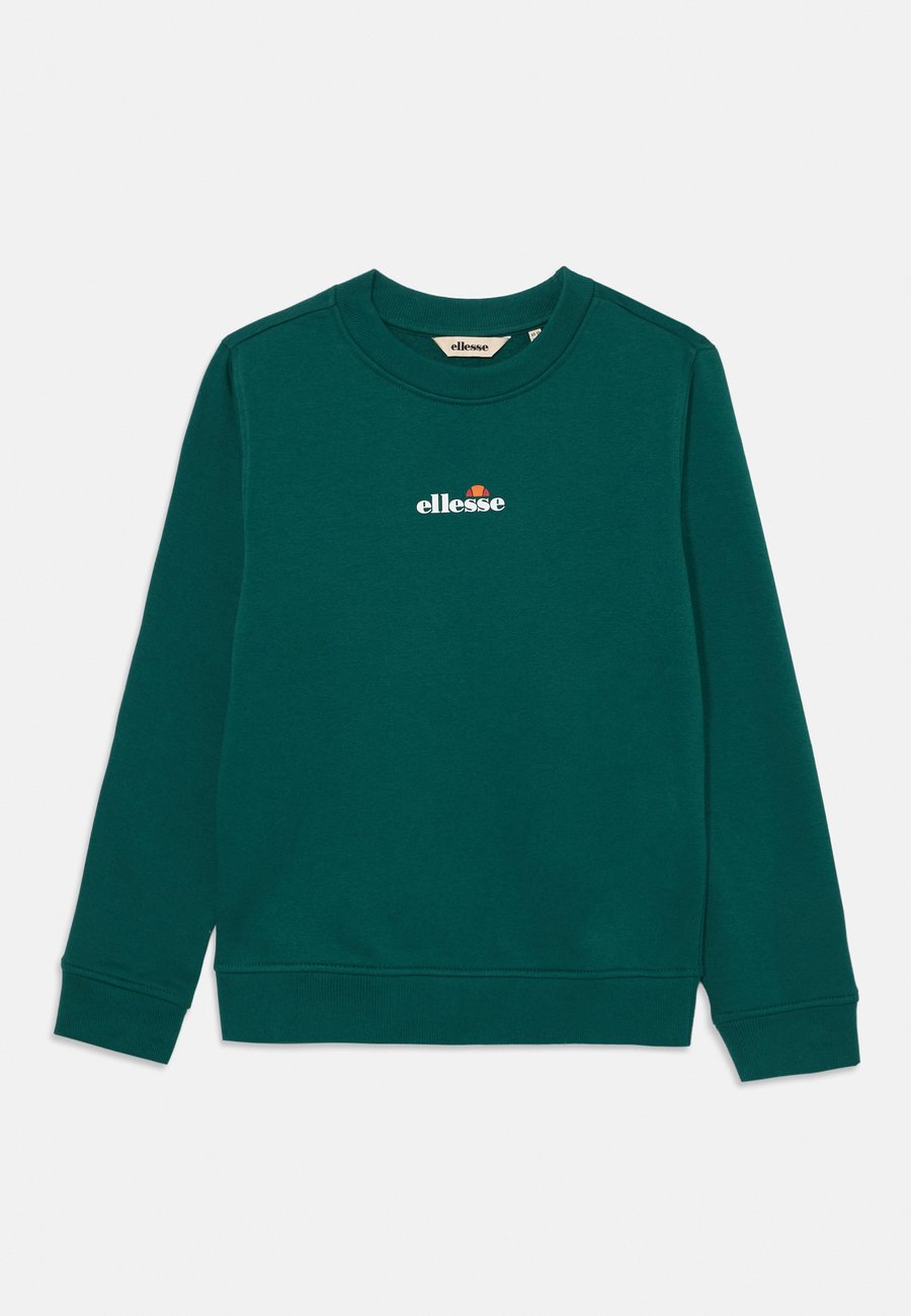 Толстовка Ellesse FAIRROS UNISEX, Dark Green
Толстовка Ellesse FAIRROS UNISEX, Dark Green