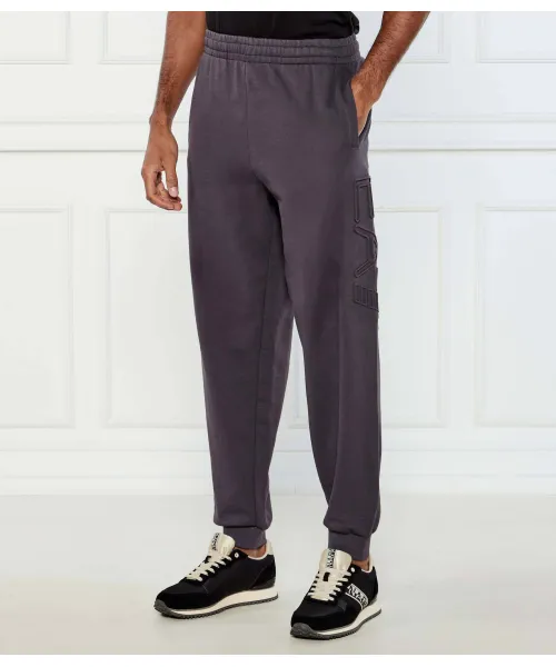 Спортивные штаны Regular fit Ea7, серый
Спортивные штаны Regular fit Ea7, серый