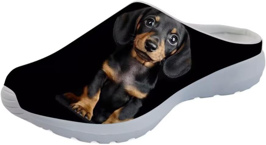 Кроссовки Forchrinse Red Galaxy Space Mule для женщин и мужчин, с сеткой, легкие, без застежки, для ходьбы, Dachshund
Кроссовки Forchrinse Red Galaxy Space Mule для женщин и мужчин, с сеткой, легкие, без застежки, для ходьбы, Dachshund