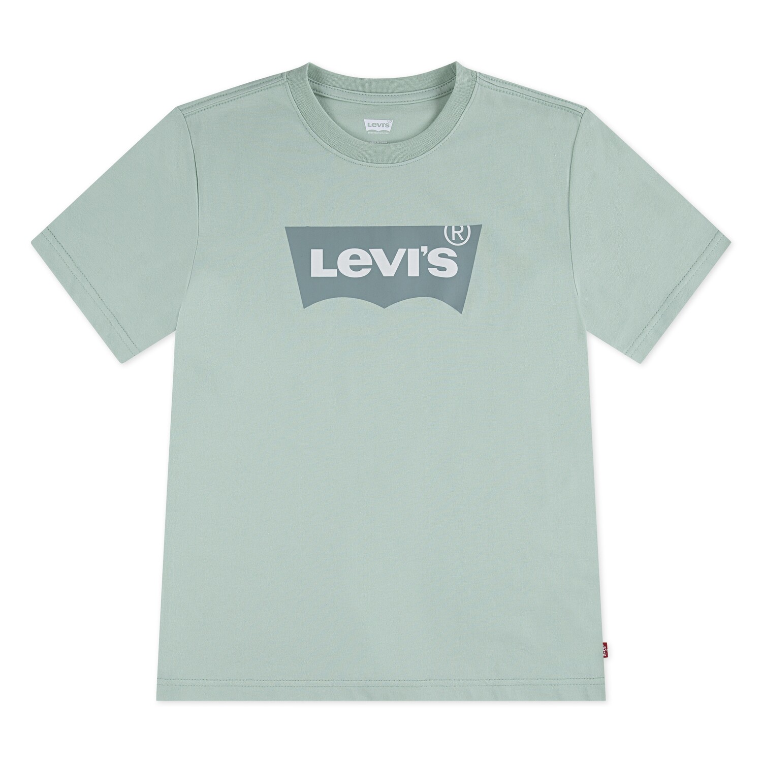 Levi's Kids Футболка в цвете мята, темно-зеленая
Levi's Kids Футболка в цвете мята, темно-зеленая