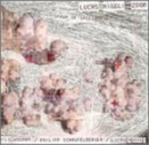 CD диск Niggli: Spawn of Speed
CD диск Niggli: Spawn of Speed