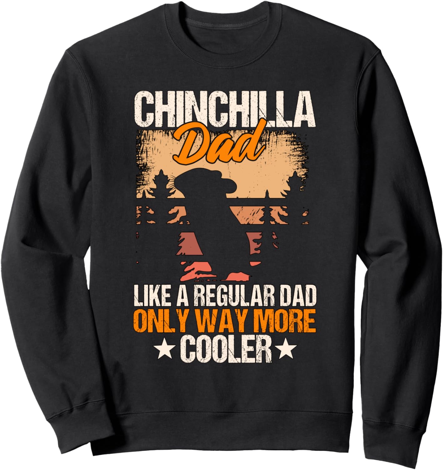 Толстовка Chinchilla Dad Cooler Chinchilla Funny Chinchilla Stuff, черный
Толстовка Chinchilla Dad Cooler Chinchilla Funny Chinchilla Stuff, черный