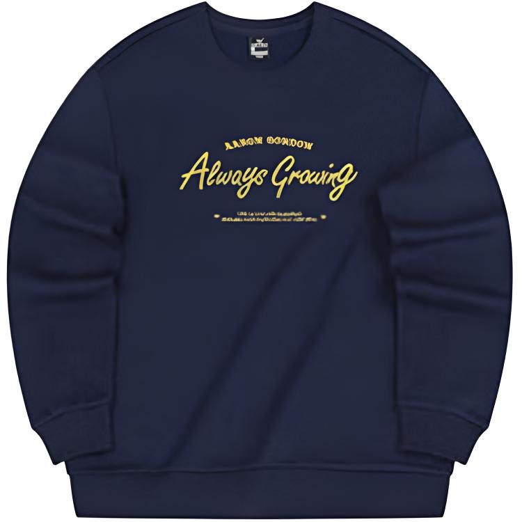 Толстовка AG Series для мужчин 361°, mica синий
Толстовка AG Series для мужчин 361°, mica синий