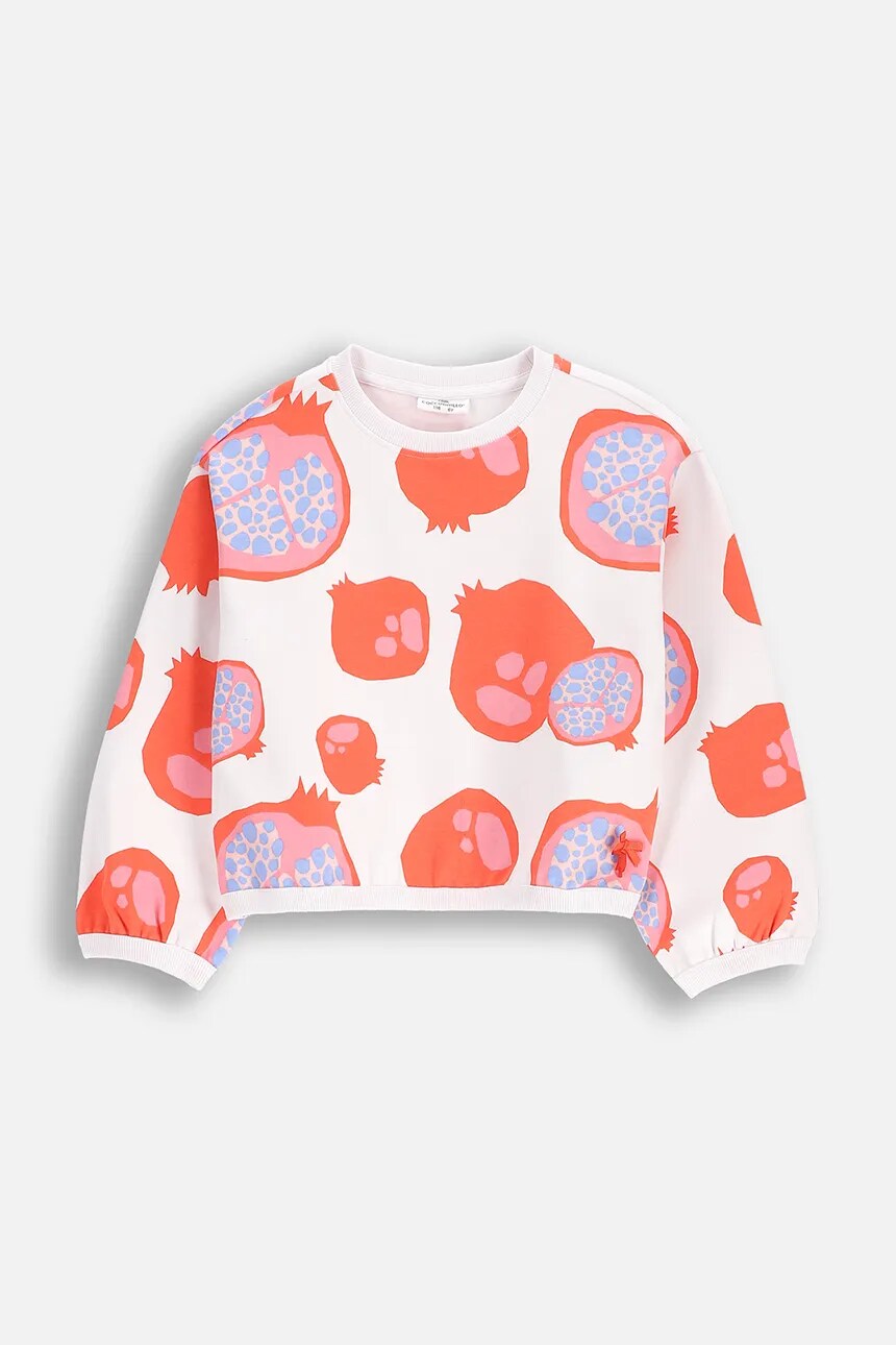 Детская хлопковая толстовка Coccodrillo, белый
Детская хлопковая толстовка Coccodrillo, белый