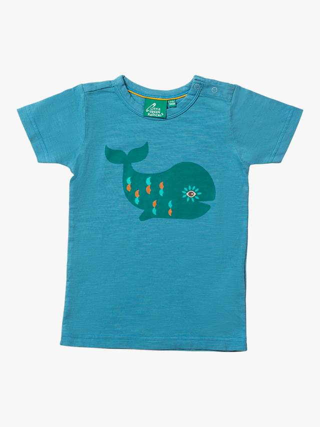 Футболка из чистого органического хлопка baby whale Little Green Radicals, синий
Футболка из чистого органического хлопка baby whale Little Green Radicals, синий