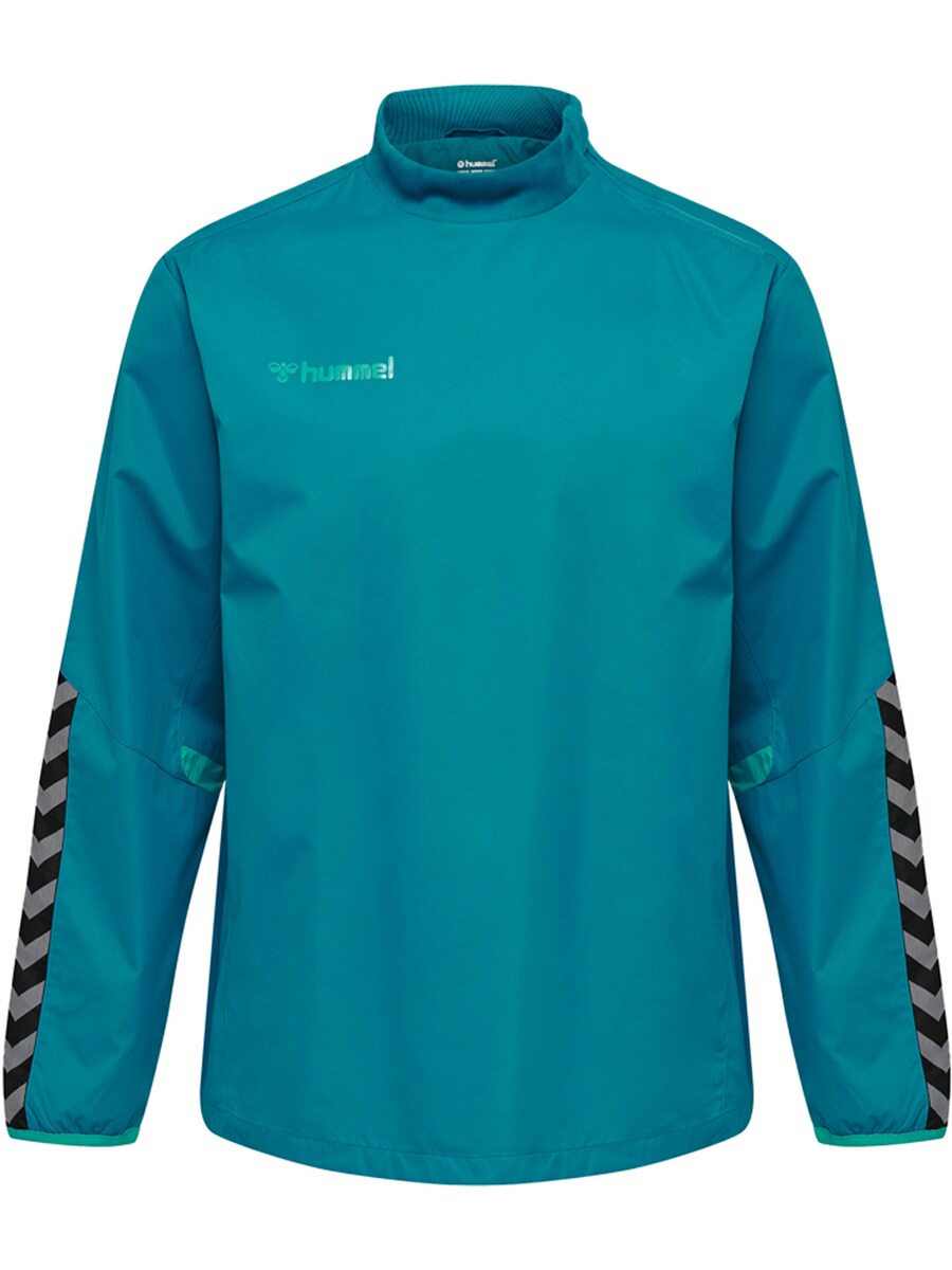 Спортивная куртка Hummel Authentic, цвет Cyan blue
Спортивная куртка Hummel Authentic, цвет Cyan blue