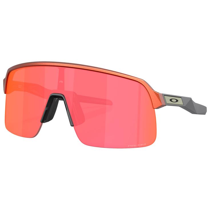 Солнцезащитные очки Sutro Lite Fire Orange Prizm Trail Torch Oakley
Солнцезащитные очки Sutro Lite Fire Orange Prizm Trail Torch Oakley