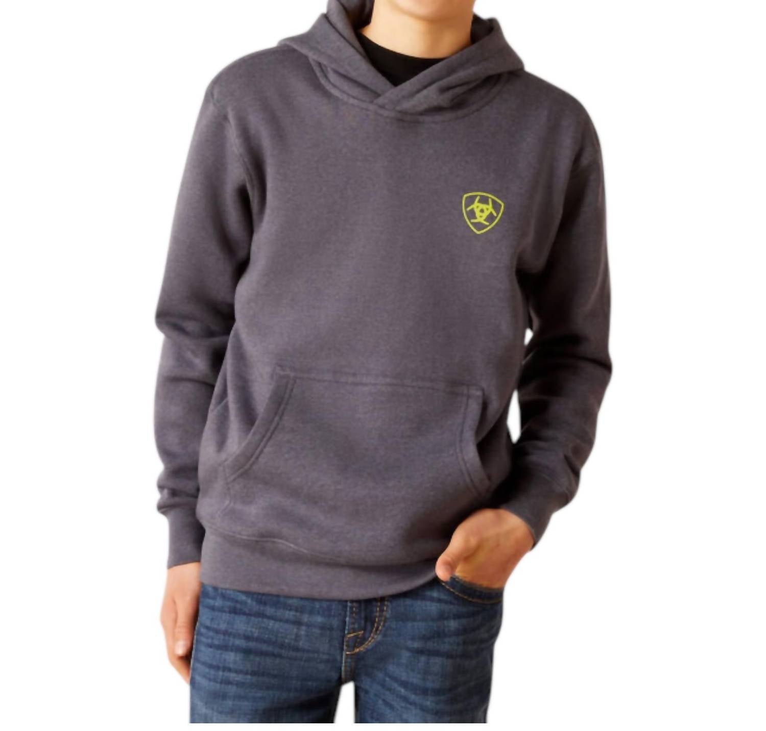 Градиентный худи с нашивкой для мальчиков Odyssy Gray ARIAT, серый
Градиентный худи с нашивкой для мальчиков Odyssy Gray ARIAT, серый