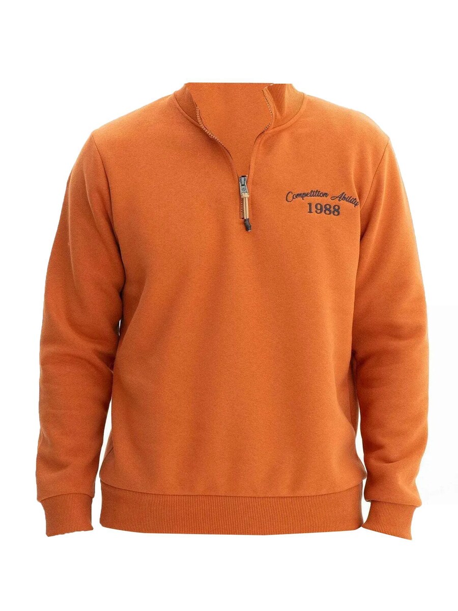 Толстовка Arma, коричневый
Толстовка Arma, коричневый