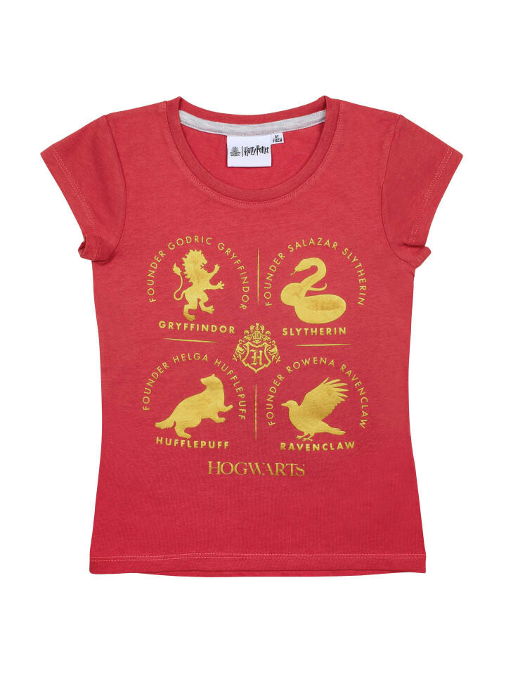 Футболка Harry Potter, красный
Футболка Harry Potter, красный