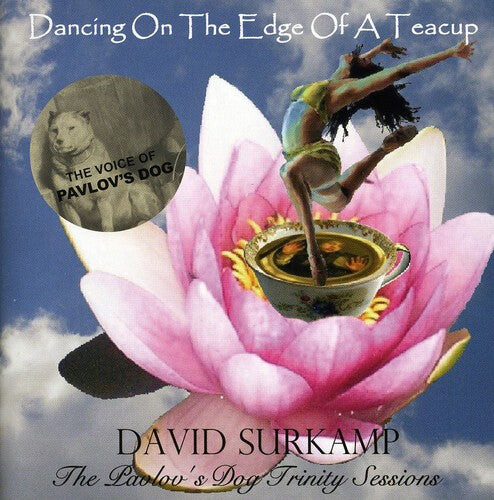 CD диск Surkamp, David: Dancing on the Edge of a Teacup 
CD диск Surkamp, David: Dancing on the Edge of a Teacup