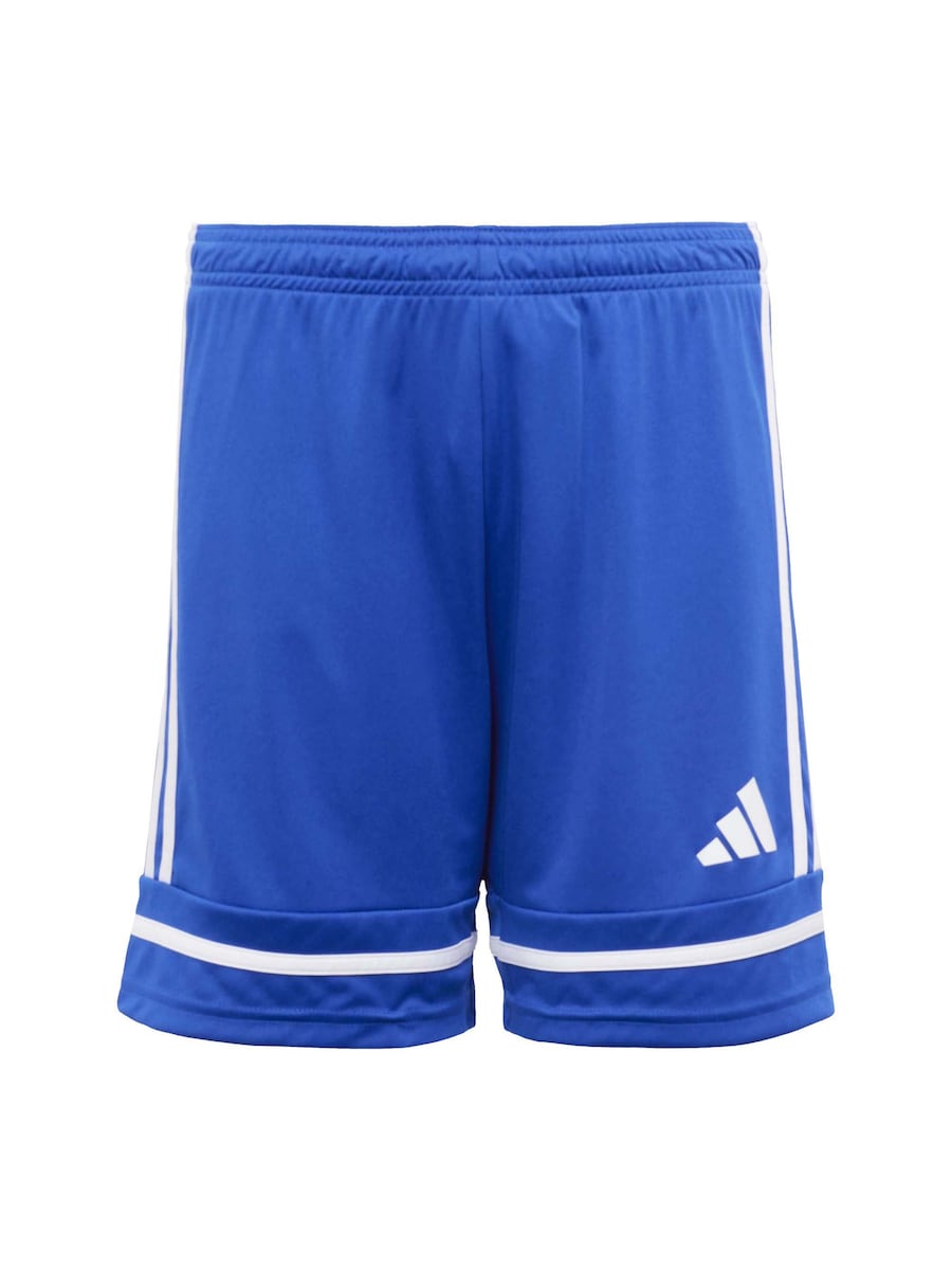 Обычные спортивные штаны ADIDAS PERFORMANCE Squadra 25, Royal Blue
Обычные спортивные штаны ADIDAS PERFORMANCE Squadra 25, Royal Blue