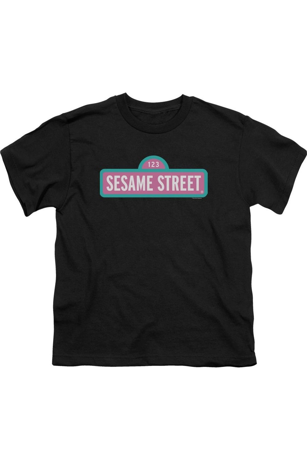 Футболка с коротким рукавом для детей с альтернативным лого Sesame Street Gildan, черный
Футболка с коротким рукавом для детей с альтернативным лого Sesame Street Gildan, черный