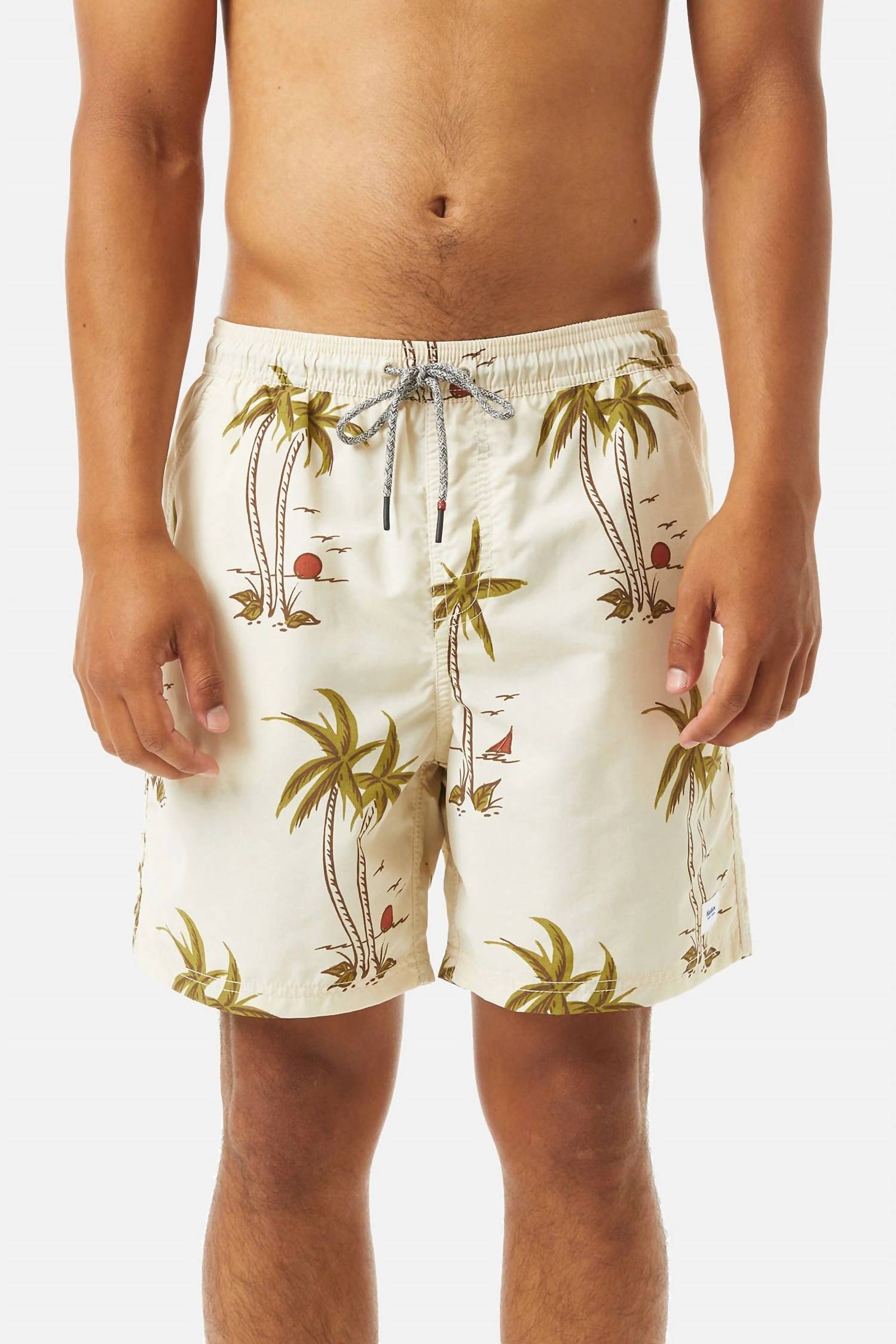 Мужские пляжные шорты Katin, цвет wool
Мужские пляжные шорты Katin, цвет wool