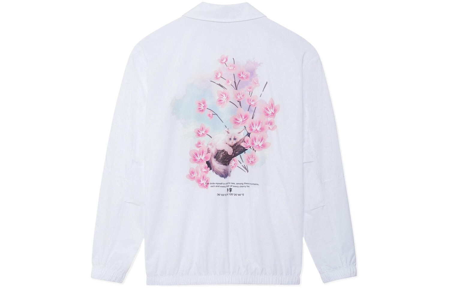 China Li Ning Куртка унисекс с подкладкой, Белый
China Li Ning Куртка унисекс с подкладкой, Белый