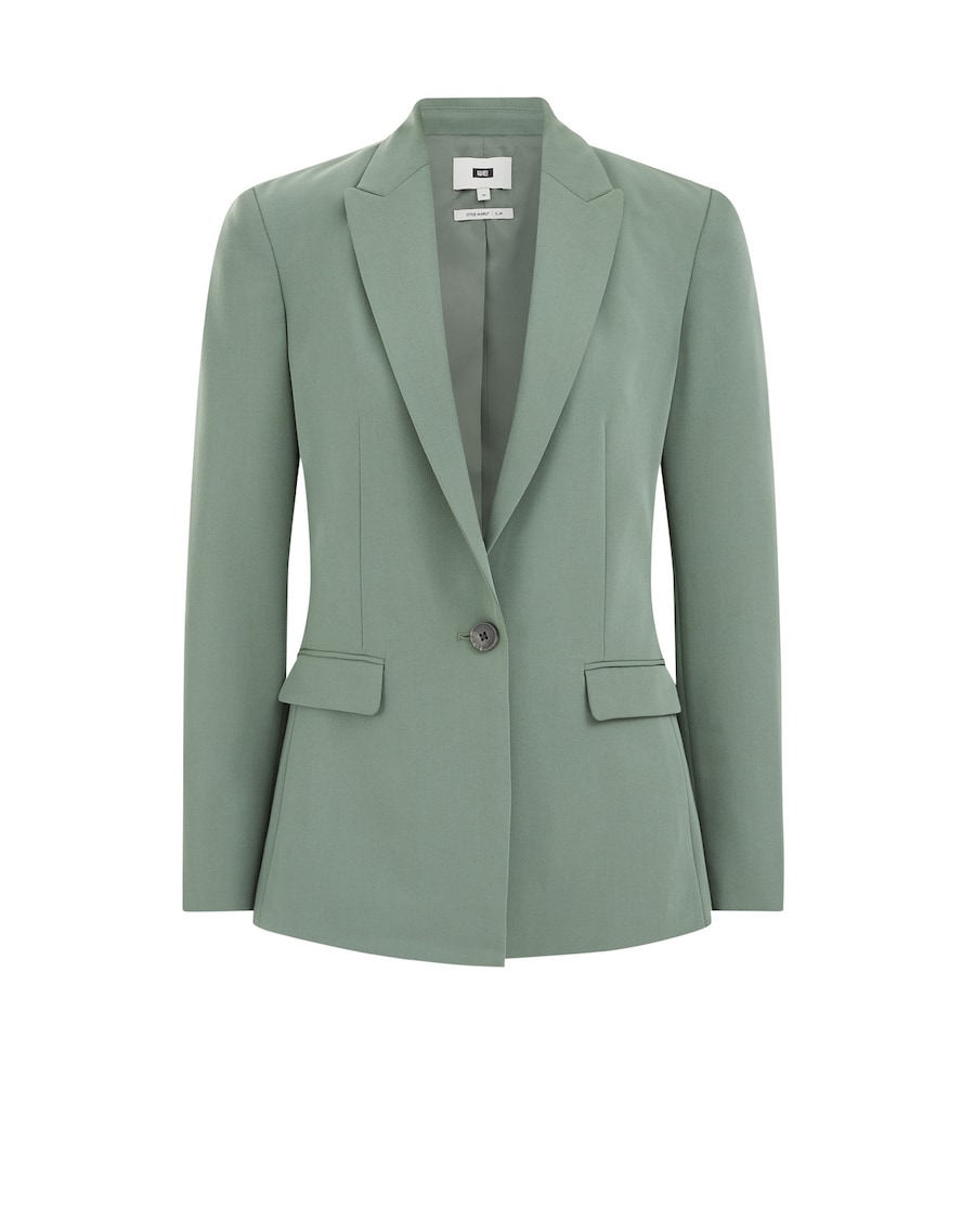 Блейзер WE Fashion Marly, пастельно-зеленый
Блейзер WE Fashion Marly, пастельно-зеленый