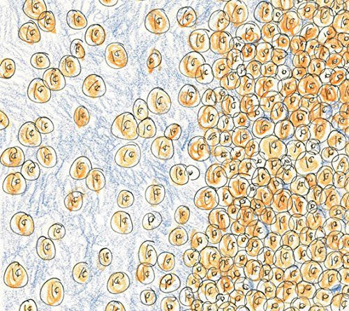 CD диск Greenberger, David & Dozens: Greenberger, David & Dozens : Near the Edge of the Penny Jar Spill
CD диск Greenberger, David & Dozens: Greenberger, David & Dozens : Near the Edge of the Penny Jar Spill