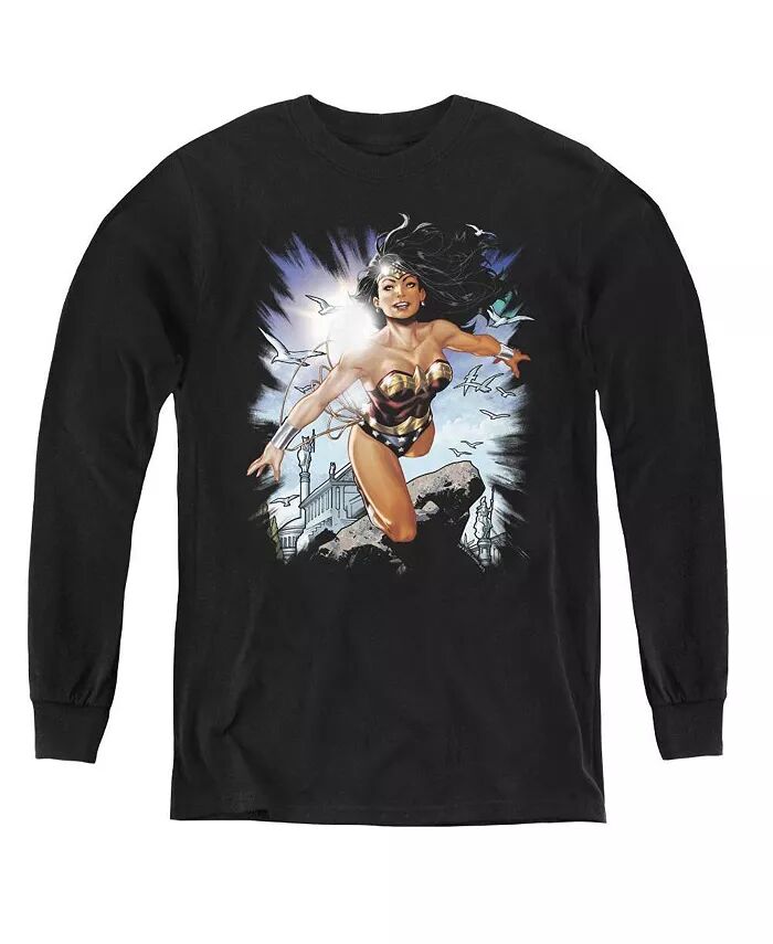 Длинные рукава толстовка Boys of America Youth Of Themyscira Justice League, черный
Длинные рукава толстовка Boys of America Youth Of Themyscira Justice League, черный