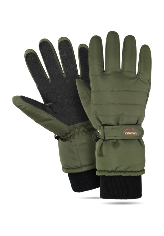 Зимние перчатки snowguard защищают Normani, зеленый
Зимние перчатки snowguard защищают Normani, зеленый