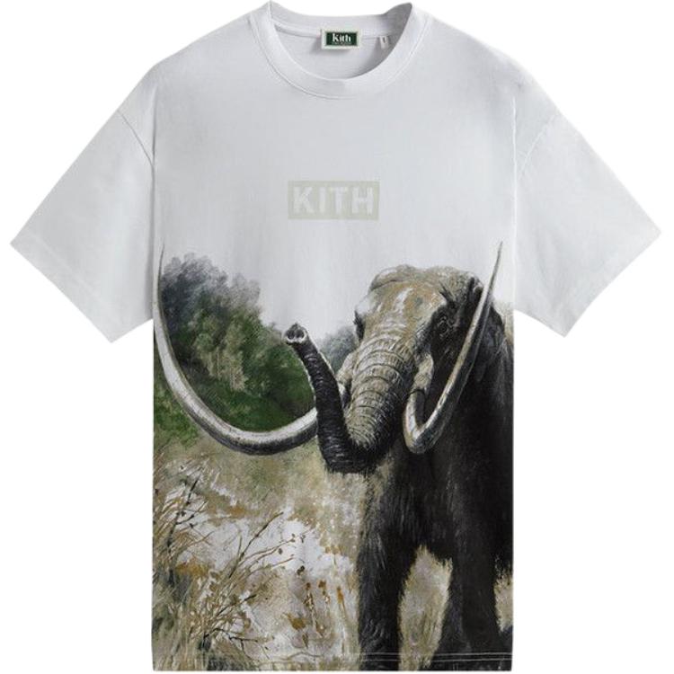 Футболка amnh мужская KITH, белый
Футболка amnh мужская KITH, белый