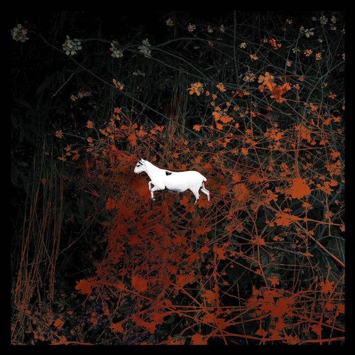 CD диск Les Discrets: Predateurs
CD диск Les Discrets: Predateurs