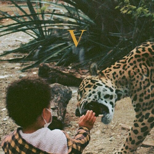 Виниловая пластинка Unknown Mortal Orchestra - V - Legendary Edition - Golden Nugget
Виниловая пластинка Unknown Mortal Orchestra - V - Legendary Edition - Golden Nugget