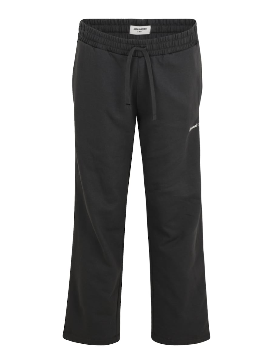 Обычные брюки Jack & Jones Plus JPSTKANE NORREBRO, серый
Обычные брюки Jack & Jones Plus JPSTKANE NORREBRO, серый