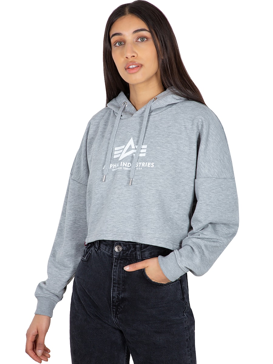Толстовка ALPHA INDUSTRIES Basic, серый
Толстовка ALPHA INDUSTRIES Basic, серый