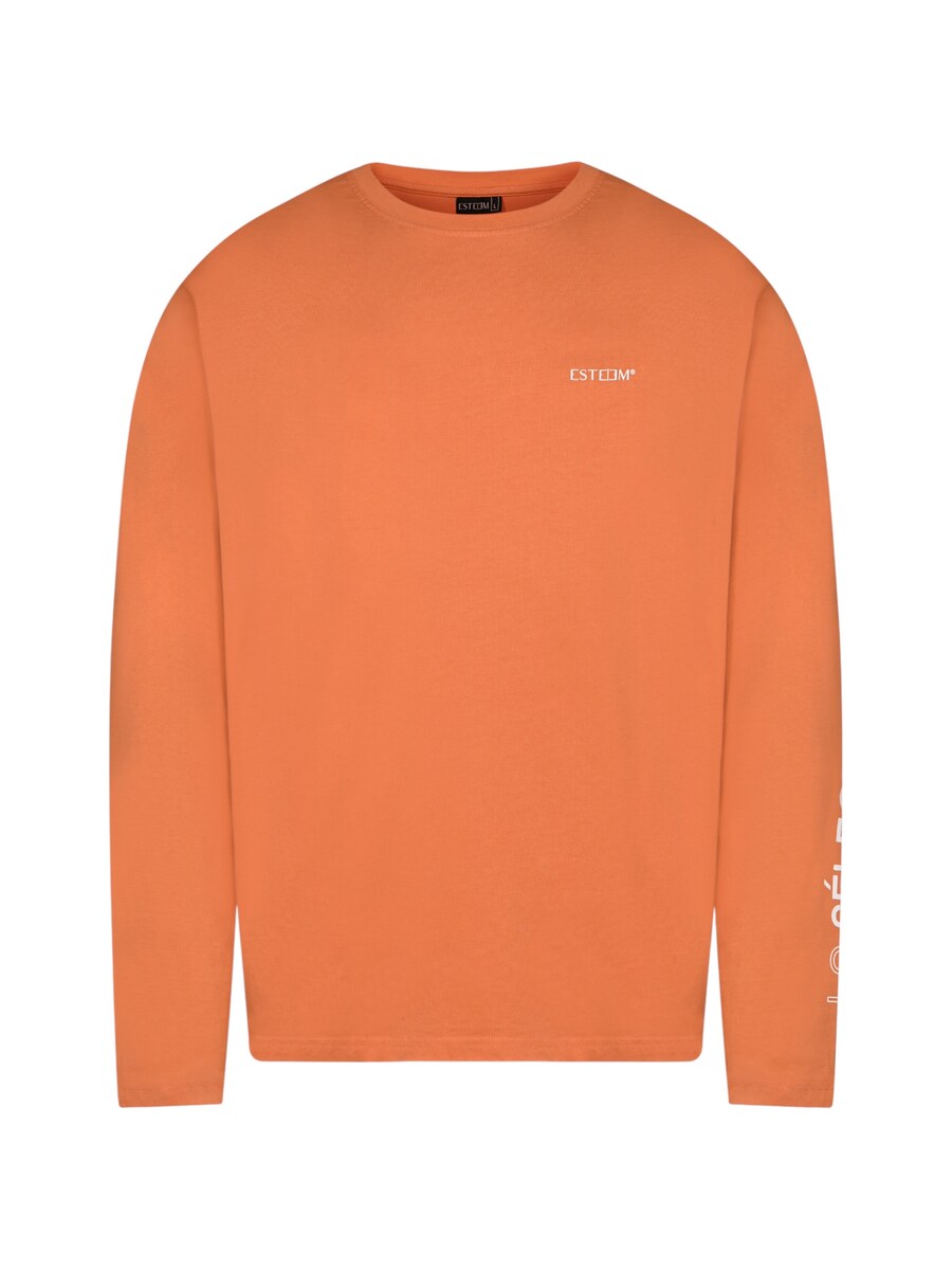 Рубашка ESTEEM Sélection Privée, темно-оранжевый
Рубашка ESTEEM Sélection Privée, темно-оранжевый