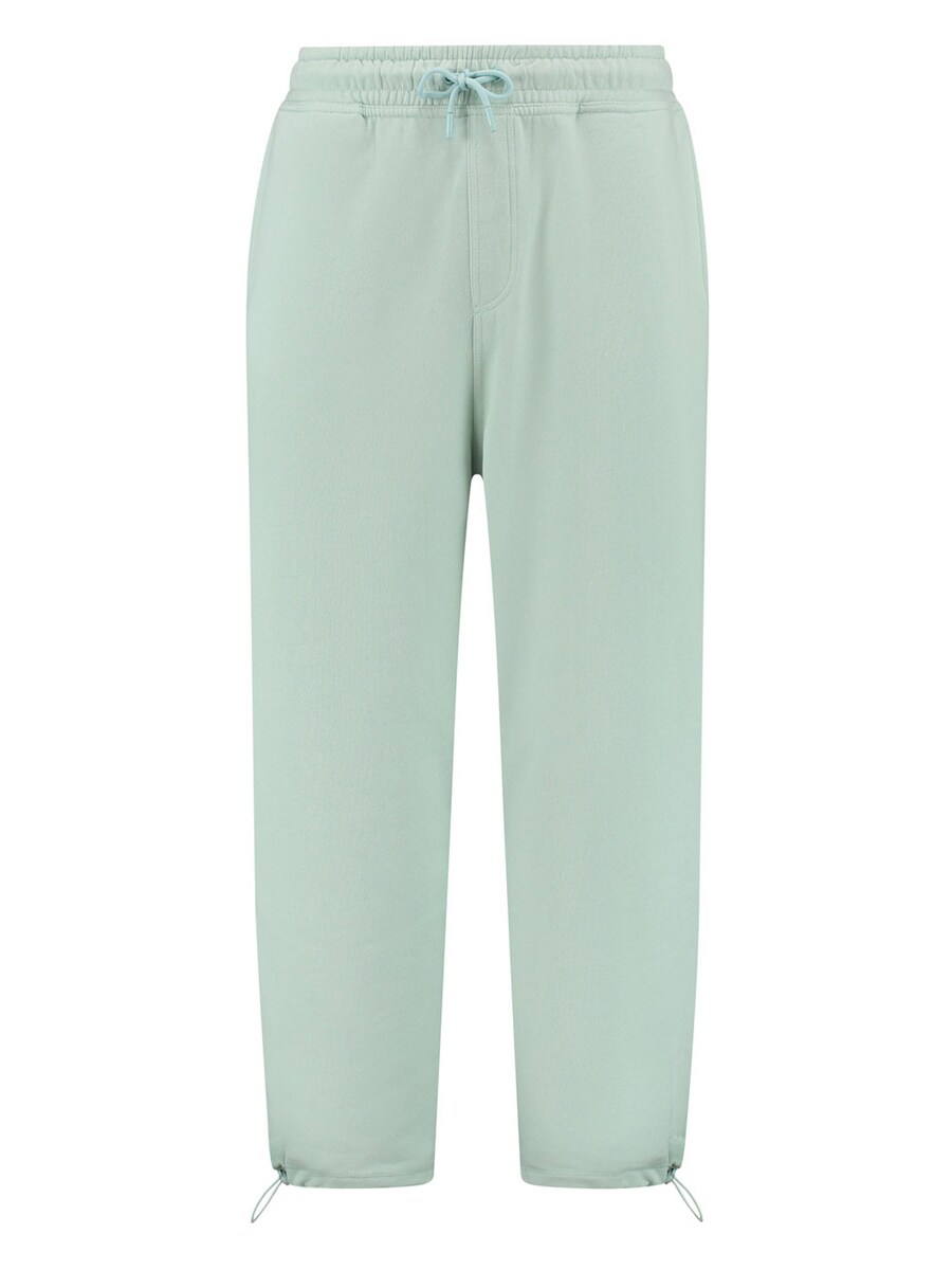 Зауженные брюки Shiwi, пастельно-зеленый
Зауженные брюки Shiwi, пастельно-зеленый