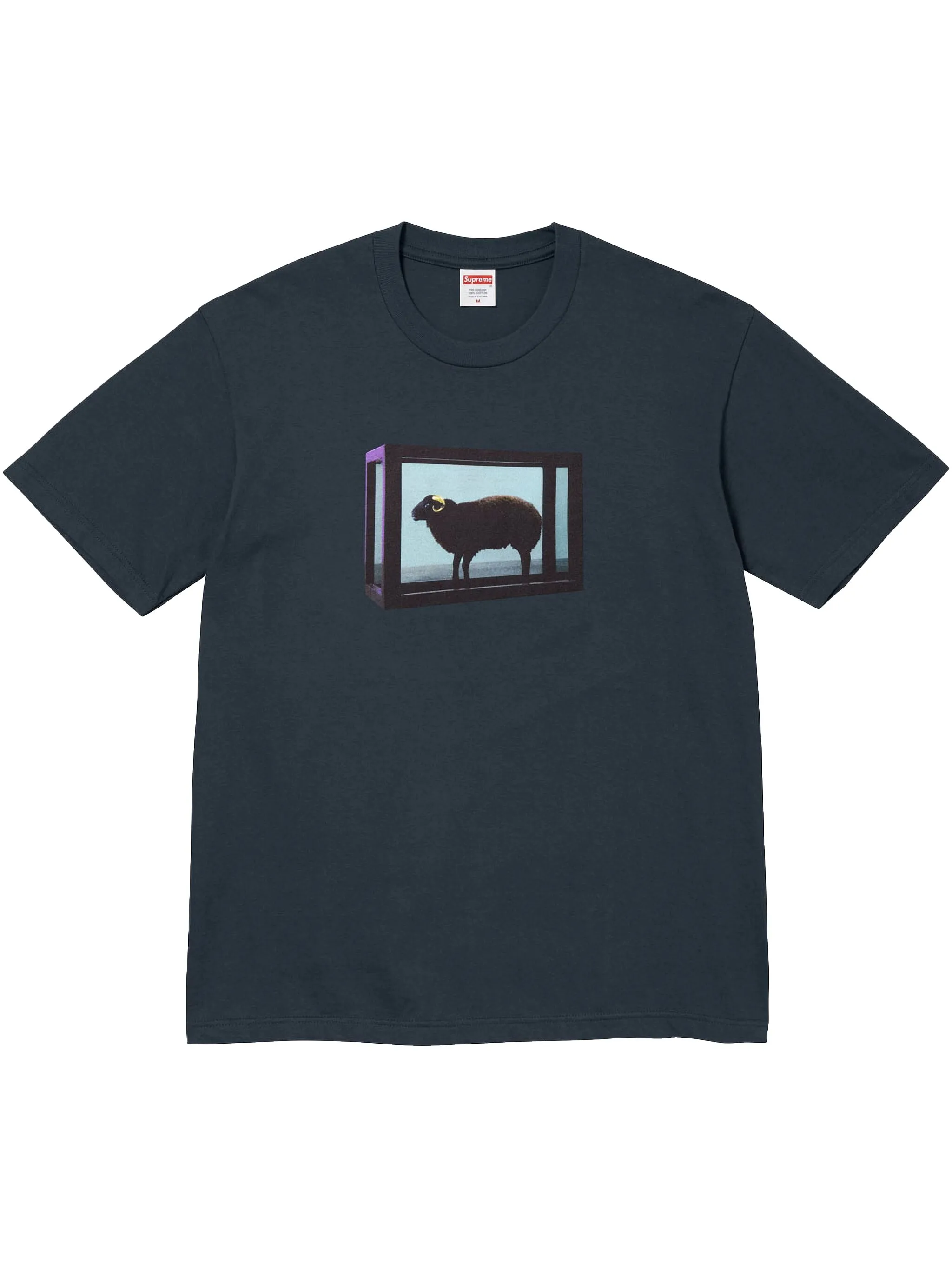 Футболка с принтом из коллаборации с Damien Hirst Supreme, синий
Футболка с принтом из коллаборации с Damien Hirst Supreme, синий