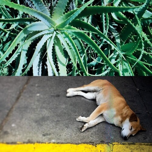 Виниловая пластинка Bates, Steve - All The Things That Happen
Виниловая пластинка Bates, Steve - All The Things That Happen