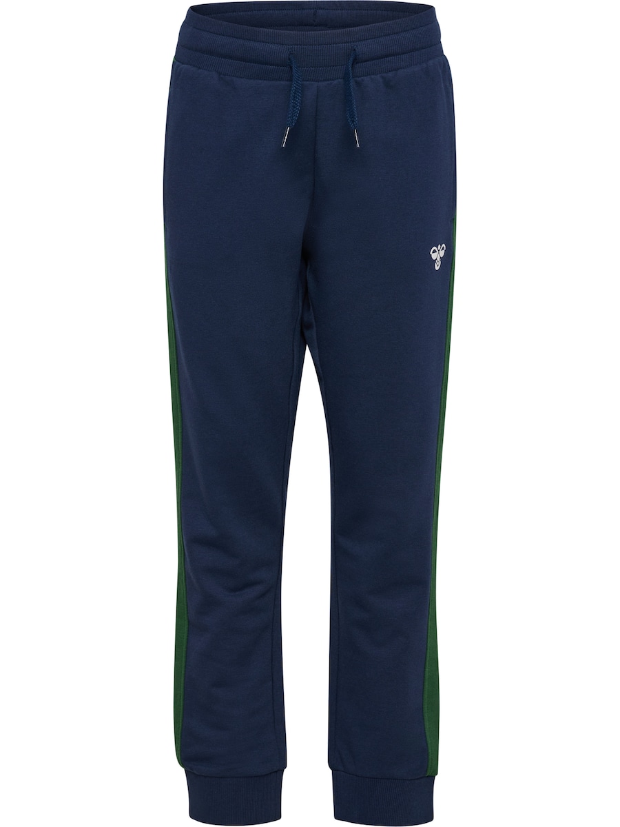 Зауженные брюки Hummel Essen, темно-синий
Зауженные брюки Hummel Essen, темно-синий