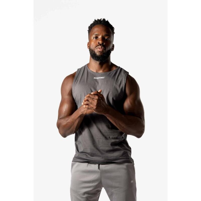 Футболка без рукавов Core — для фитнеса — для мужчин — серая AESTHETIC WOLF, цвет gris
Футболка без рукавов Core — для фитнеса — для мужчин — серая AESTHETIC WOLF, цвет gris