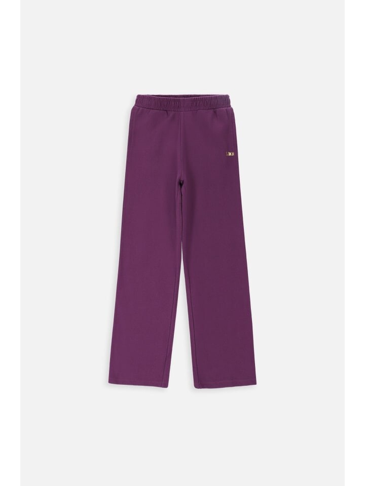 Спортивные брюки Lemon für Mädchen, фиолетовый
Спортивные брюки Lemon für Mädchen, фиолетовый
