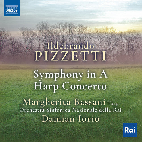 CD диск Pizzetti / Bassani / Iorio: Ildebrando Pizzetti: Symphony in A & Harp Concerto
CD диск Pizzetti / Bassani / Iorio: Ildebrando Pizzetti: Symphony in A & Harp Concerto