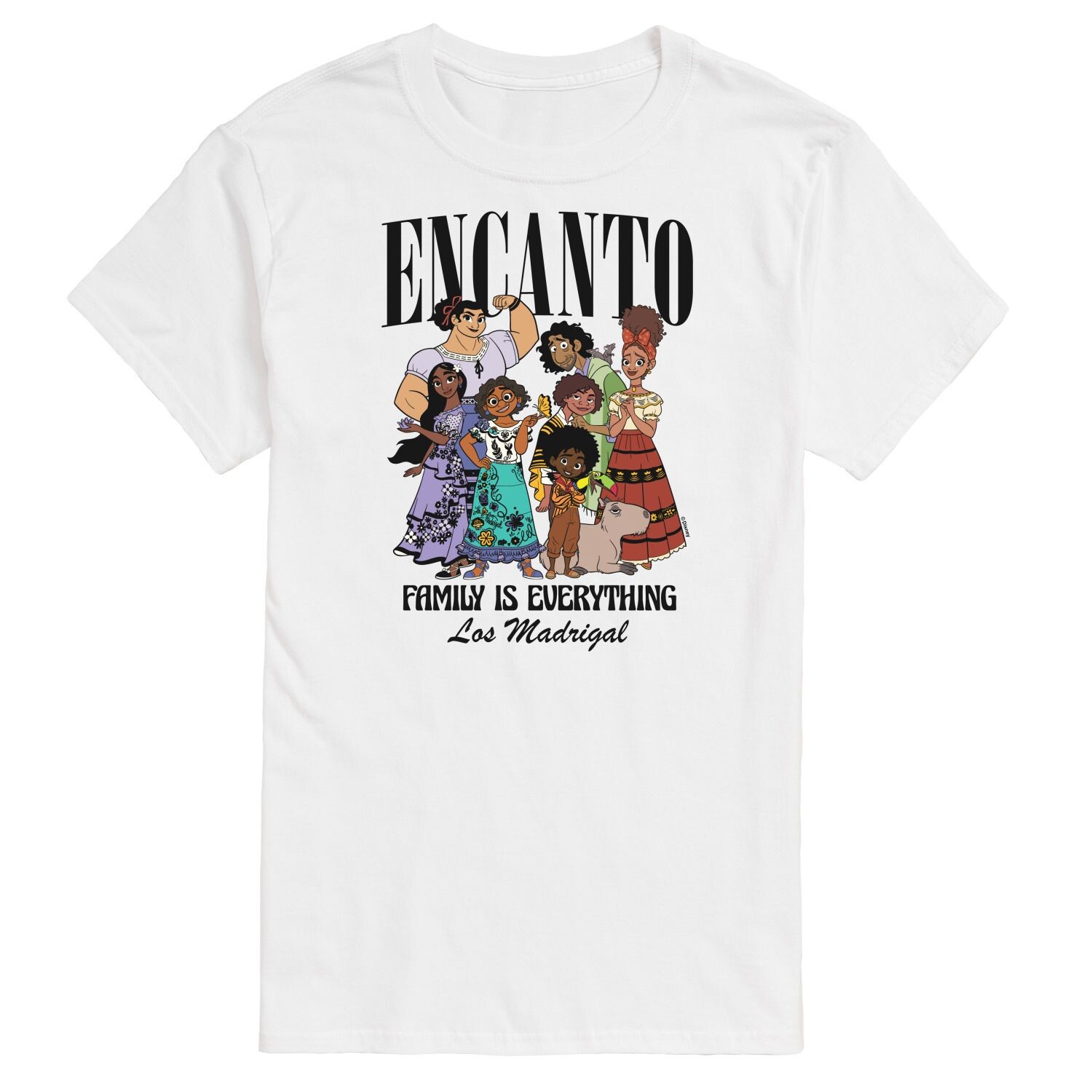 Мужская футболка Disney's Encanto Family Everything с графическим рисунком Licensed Character
Мужская футболка Disney's Encanto Family Everything с графическим рисунком Licensed Character